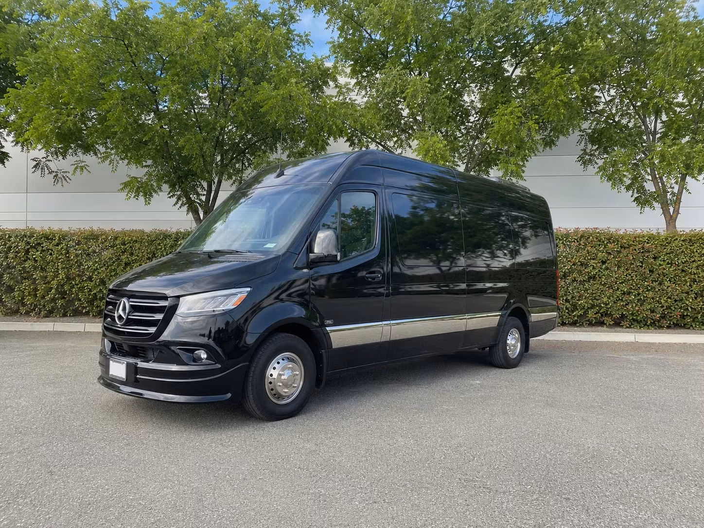 sprinter van with driver